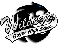wildcats_logo